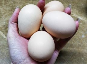 鸡蛋4个