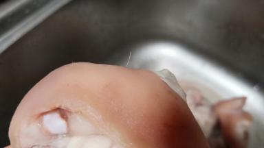 用温水把焯水过后的猪蹄清洗干净，再拔毛。一般买来的猪蹄都会有一些猪毛留在上面，焯水过后可以很轻松地用夹子一根根拔除。