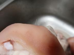 用温水把焯水过后的猪蹄清洗干净，再拔毛。一般买来的猪蹄都会有一些猪毛留在上面，焯水过后可以很轻松地用夹子一根根拔除。