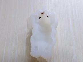 首先隔水融化少许巧克力，装入裱花袋，挤出眼睛与鼻子，爪子也可以涂上，我嫌麻烦，爪子没有涂。