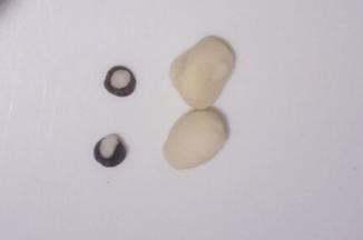 奥利奥面团取两个绿豆粒大小的面团搓圆按扁，金鱼眼睛主体面团上取两个芝麻粒大小的面团搓圆粘在奥利奥面团上。剩余金鱼主体面团一分为二搓圆