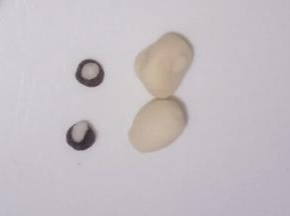 奥利奥面团取两个绿豆粒大小的面团搓圆按扁，金鱼眼睛主体面团上取两个芝麻粒大小的面团搓圆粘在奥利奥面团上。剩余金鱼主体面团一分为二搓圆