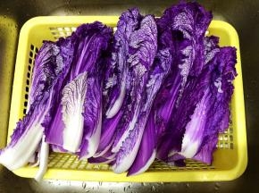 紫白菜洗净备用
