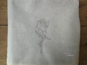 在一张干净的油纸上用铅笔手绘或者拓印勾勒出一朵玫瑰花