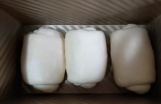 三个面团依次做好，收口朝同一个方向放入吐司模具。放入烤箱进行发酵，温度35度，烤箱里放一碗温水进行保湿。