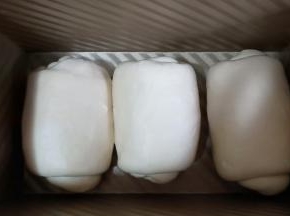 三个面团依次做好，收口朝同一个方向放入吐司模具。放入烤箱进行发酵，温度35度，烤箱里放一碗温水进行保湿。