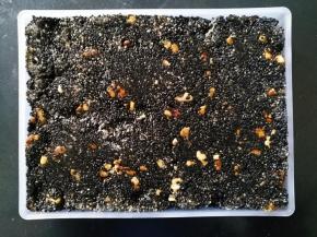 用擀面杖用力擀平整