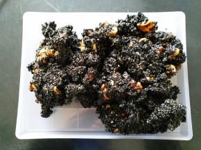 将混合物倒入模具