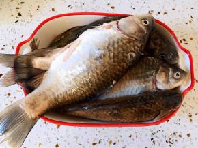 鲫鱼去鳃去鳞去内脏，洗净