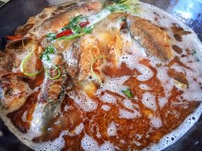 大火烧开转中火炖25分钟（此时我放了一点干香菜，没有可以不放）