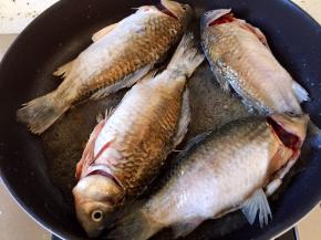 鲫鱼用平底锅煎一下