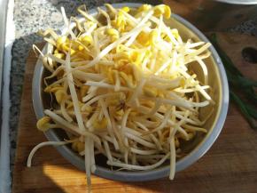 豆芽、小油菜洗净备用。