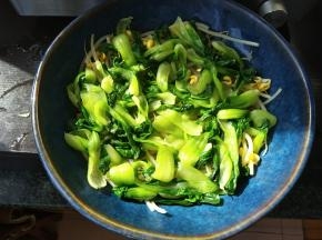 然后再铺上小油菜。