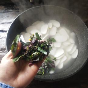 期间加入菜心段