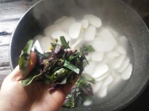 期间加入菜心段