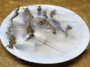 4小时后拿出，将鱼块移入装有冰块的碟子里