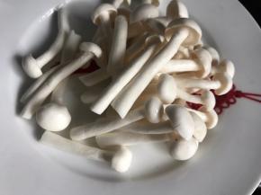 白玉菇洗净沥水