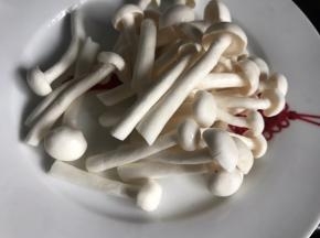 白玉菇洗净沥水