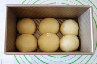 选择揉面程序揉面5分钟排气，然后分割成六等份一一揉圆，放入吐司模具中；