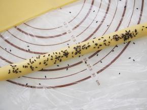 稍微揉一下，让豆沙和面皮贴合更紧密，表面刷上一层蛋液，撒上一层黑芝麻