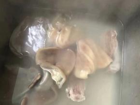 放一锅水先把猪耳朵煮一下之后用凉水给它清洗干净。