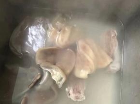 放一锅水先把猪耳朵煮一下之后用凉水给它清洗干净。