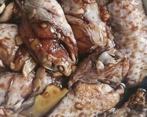 先处理鸡翅：鸡翅放入大碗中，加入阿根廷燃情风味腌料，加水按1:1搅拌均匀（可以按自己喜欢的口味添加配料，也可以不加）

再一个个给鸡翅做个全身按摩，盖上保鲜膜放冰箱冷藏腌制至少1个小时。