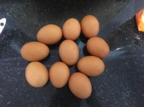 冰箱冷藏的鸡蛋10个。
