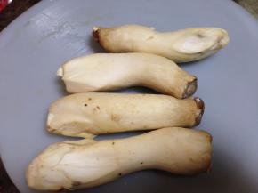 杏鲍菇切去老根洗净表面