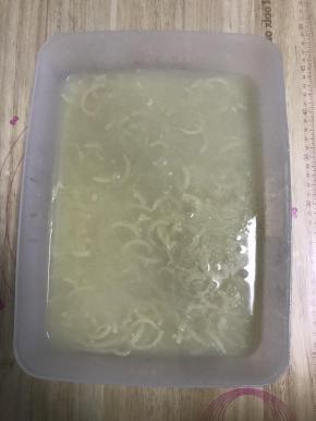 装入乐扣盒中。