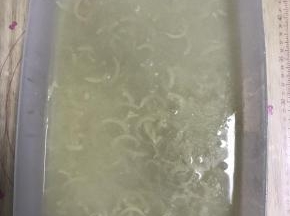 装入乐扣盒中。