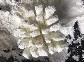 再抹匀淀粉，使其形成菊花形