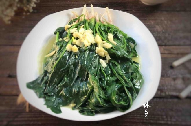 红嘴绿鹦哥