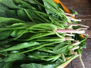 菠菜摘洗干净，留下根本