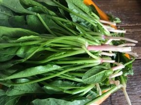 菠菜摘洗干净，留下根本