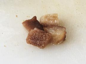 海参切成小丁状