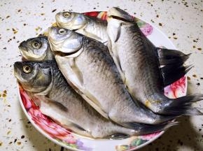 鲫鱼去鳞去腮去内脏，洗净