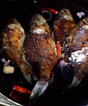 放入煎好的鲫鱼