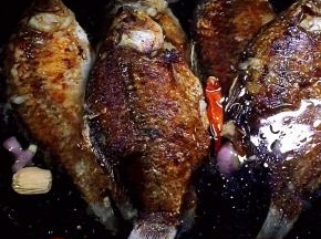 放入煎好的鲫鱼