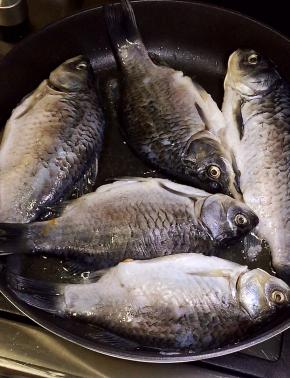 鲫鱼放入平底不粘锅煎一下