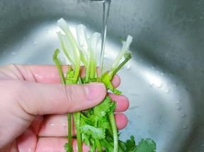香菜去须在流水下冲洗掉泥沙再切小段备用。