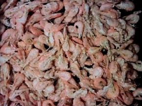 平底锅中倒油，开中火放入小海虾煎熟后煎酥即可。中途可翻几次面。