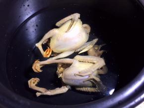 乳鸽放入砂锅中，添适量清水