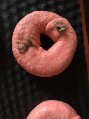 把泡过的樱花 挤水 摆上做装饰 用南瓜子做叶子