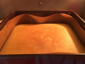 烤盘中加入二分之一的热水，模具放入烤盘中，烤箱提前预热，上下火160度烤一小时，最后注意观察乳酪蛋糕表层上色的状态，适当时可降低上火温度，以免上色过深。