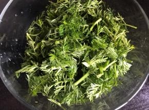 胡萝卜茵摘洗干净，切成小段，装入大点的容器中