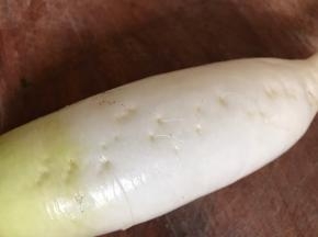 白萝卜刷洗干净（留皮）