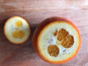 把鲜橙洗净，在顶端切开一个小盖子