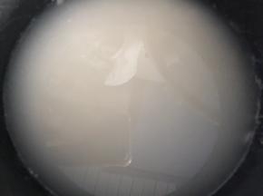 电饭锅里放入煮饭的米和水