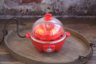 盖上蒸蛋器的盖儿，接上电源，